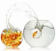 La zona Segura (Predicado en Junio&nbsp;2014)